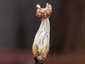 Fodros papsapkagomba (Helvella crispa), Pilis